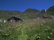 BIVACCO ZAMBONI (2007 m.) - PIZZO DEL VENTO (2235 m.) - MONTI TARTANO (2292 m.) E e AZZAREDO - FOTOGALLERY